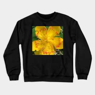 Yellow Radiance Crewneck Sweatshirt